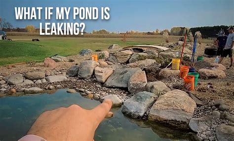 How to Find a Leak in Pond Liner: A Step